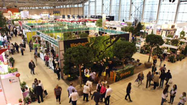 This year many exhibitors at the garden trade fair in Moscow had larger-sized stands.
