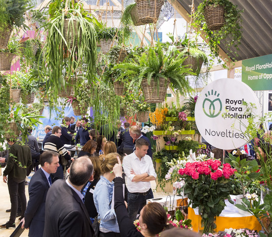 The IPM in Essen remains the world’s leading horticultural fair.