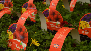 British garden centres make 30 per cent more