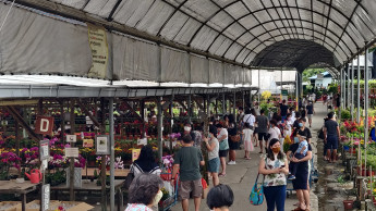 Pandemic-induced growth for garden centres in Singapore