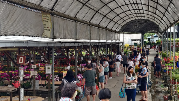 World Farm operates 2.4-hectare garden centre in Singapore.