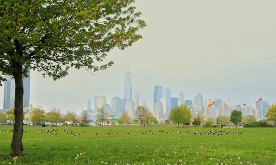 Boring green spaces in public parks will increasingly disappear. 