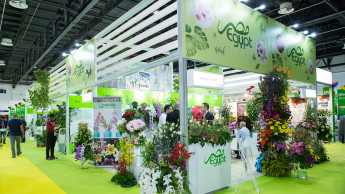 IPM Dubai increases its visitor numbers again