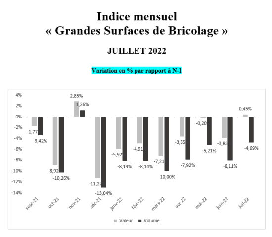 DIY stores in France: sales and volumes growth rates 2022/2021.