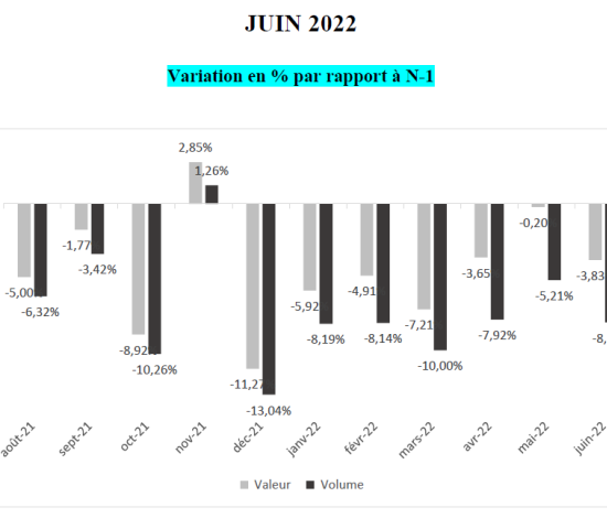 DIY stores in France: monthly change rates (sales and volume) 2022/2021.