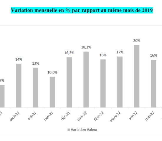 DIY stores in France: monthly change rates (sales) 2022/2019.