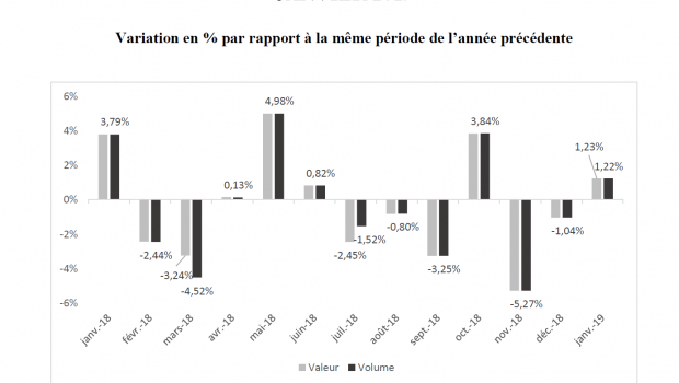 The data concerning the French home improvement retail sector are provided by Banque de France.